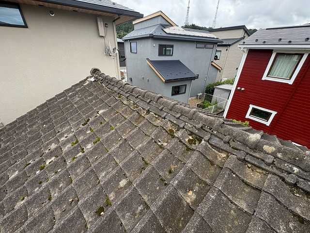 苔が見られる棟調査